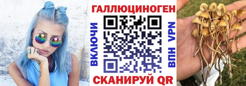 Псилоцибиновые грибы Cubensis  MEGA   Верхоянск 